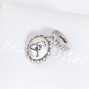 Pandora Engravable Veterinarian Dangle Charm Sterling Silver